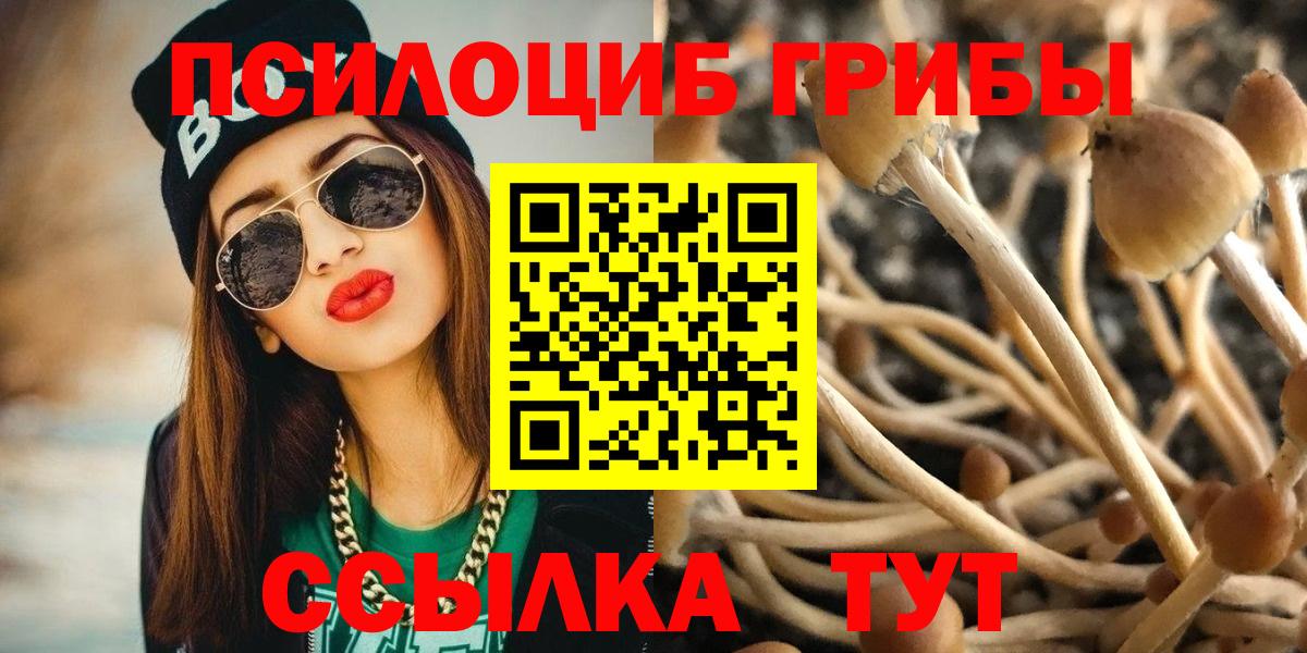 Заринск  купить закладку  Вход с VPN  Псилоцибиновые грибы MAGIC MUSHROOMS 